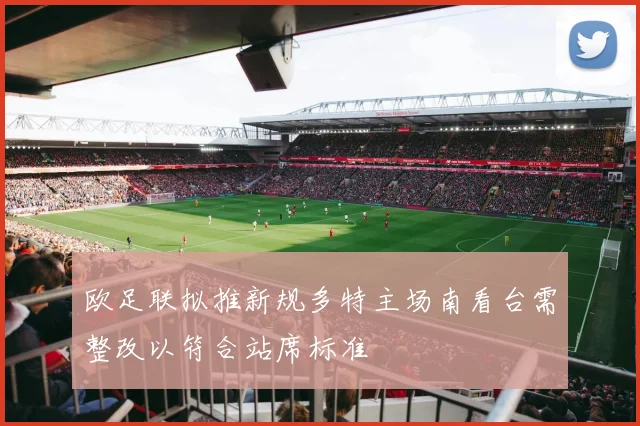 欧足联拟推新规多特主场南看台需整改以符合站席标准
