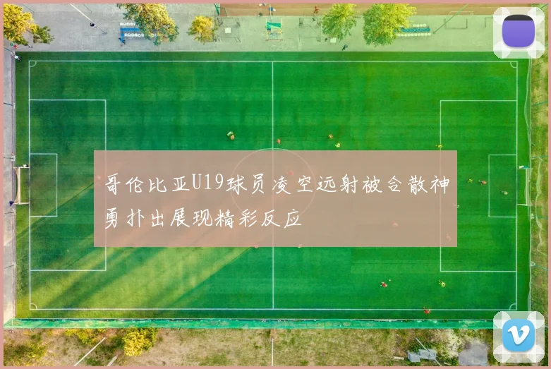 哥伦比亚U19球员凌空远射被合散神勇扑出展现精彩反应