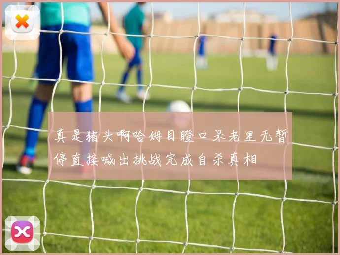真是猪头啊哈姆目瞪口呆老里无暂停直接喊出挑战完成自杀真相