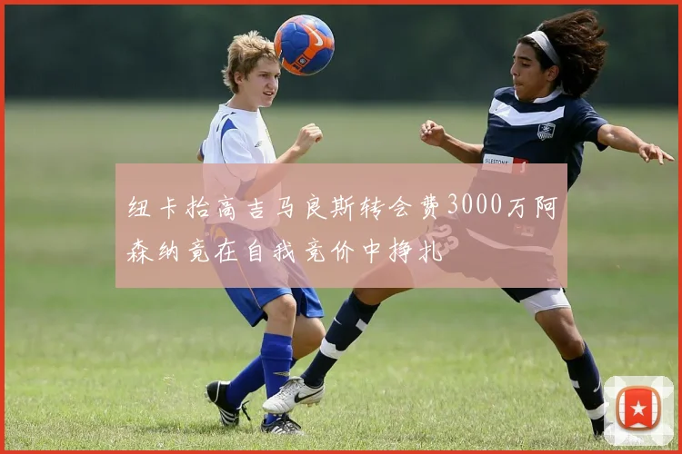 纽卡抬高吉马良斯转会费3000万阿森纳竟在自我竞价中挣扎