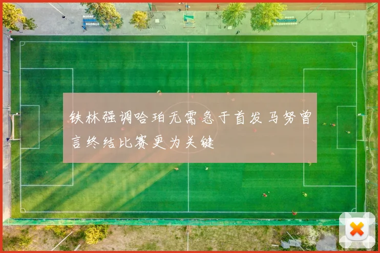 铁林强调哈珀无需急于首发马努曾言终结比赛更为关键